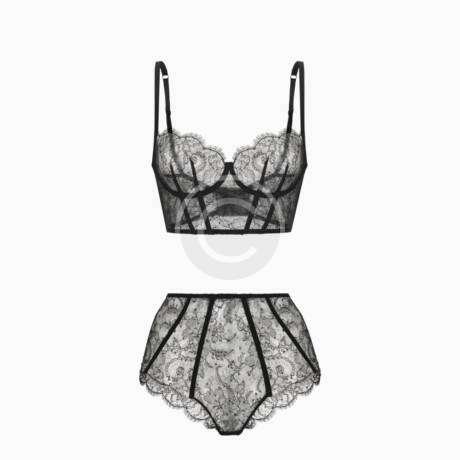 Sheer lace set
