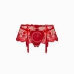 Red lace panties