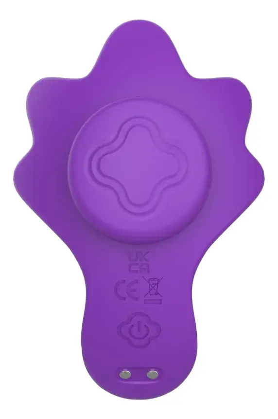 VIBRADOR MARGNETICO PARA PANTY SUNFLOWOR CON APP - Image 4